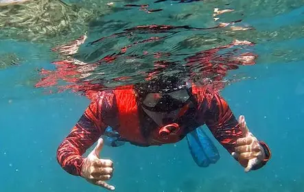 Tour en kayak por el océano y snorkel en el arrecife en Olowalu