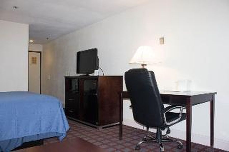 foto-3