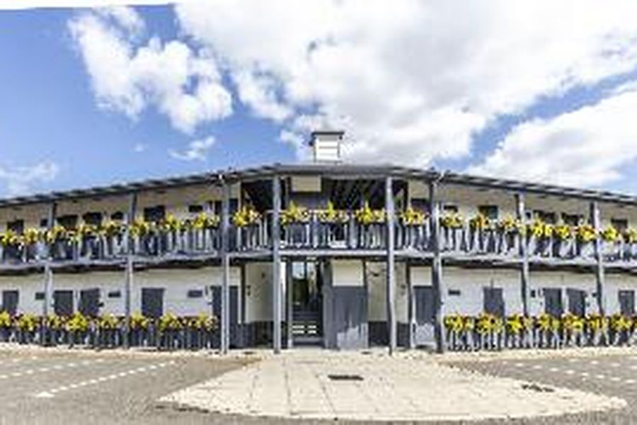 photo-2