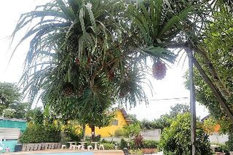 foto-3