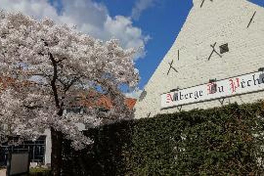 foto-2