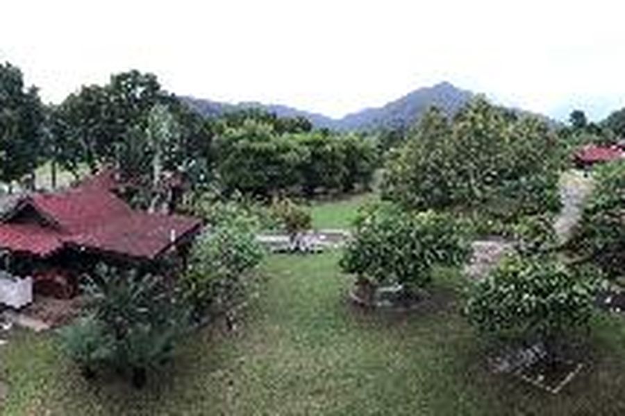 foto-1