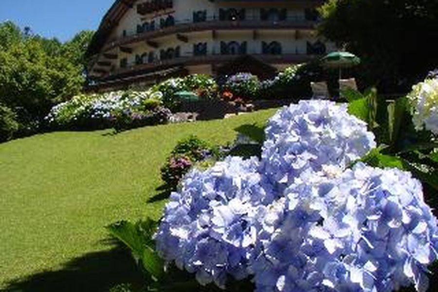 foto-2