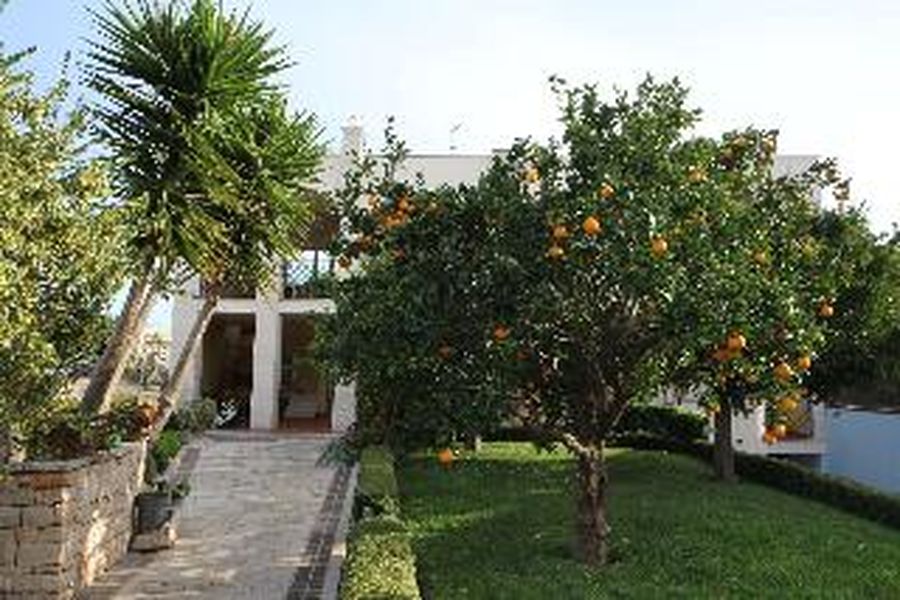 foto-2