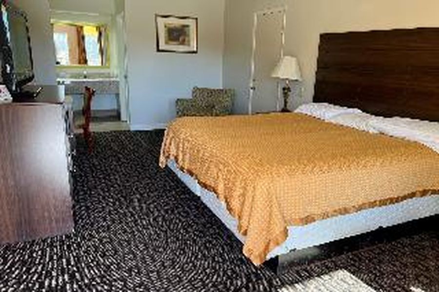 photo-1