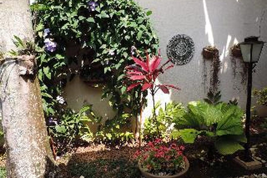 foto-2