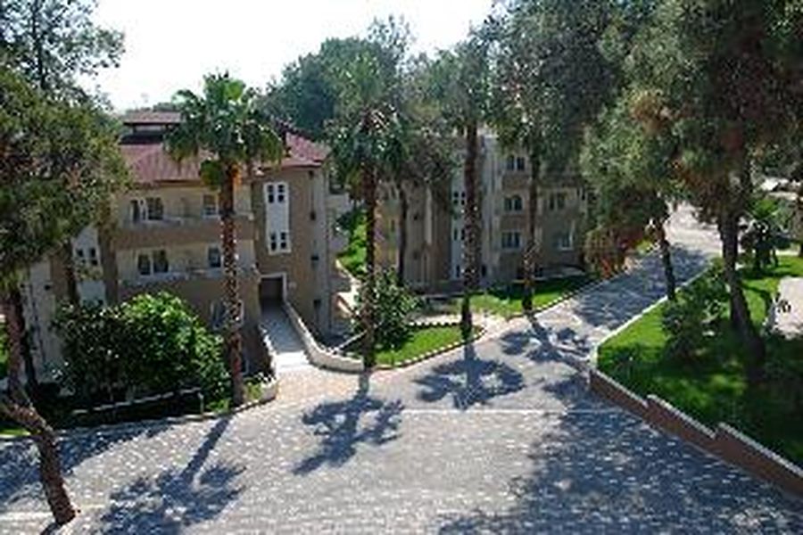 photo-1