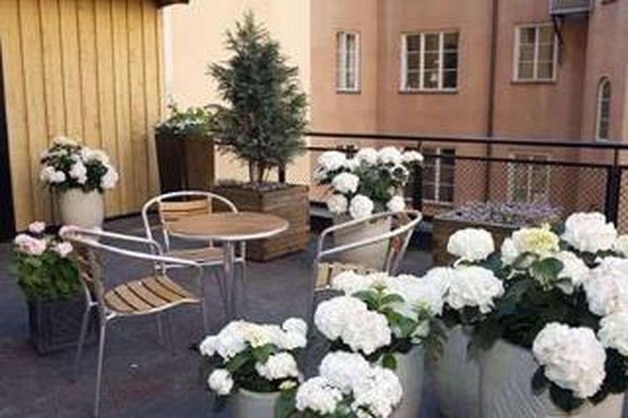photo-2