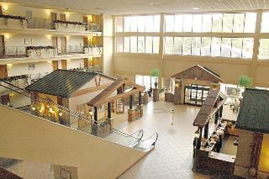 photo-1